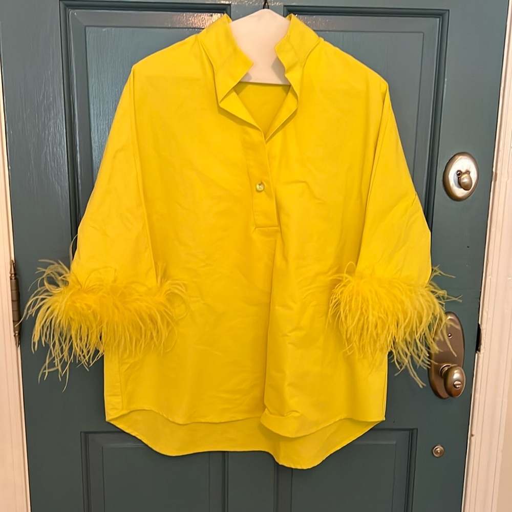 Citron Feather Willow Blouse
TUCKERNUCK Size Large